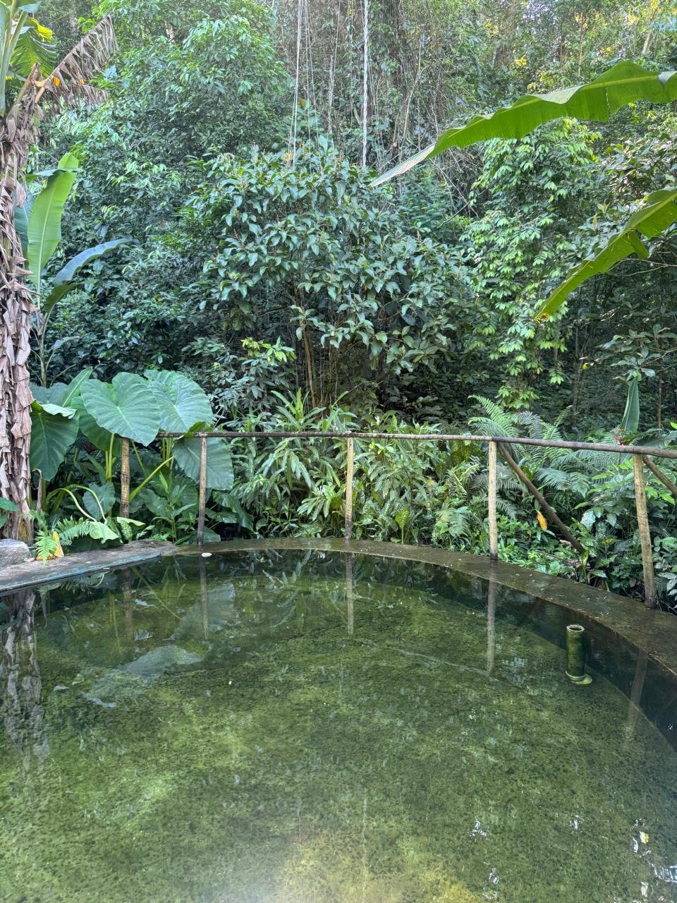 Piscina Natural